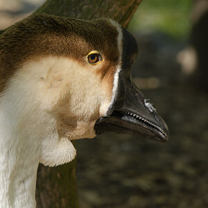 NIKON_2023_01244NF.jpg