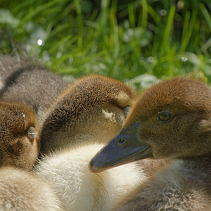 NIKON_2023_01253NF.jpg