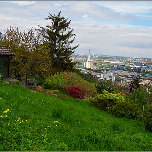 P4292953-2.jpg
