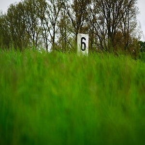 Z50_0682NX_134_DxO.jpg