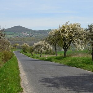 DSC_9322_00001n.jpg
