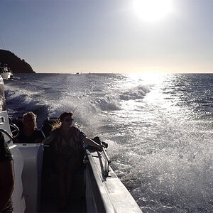 K_1280208.jpg