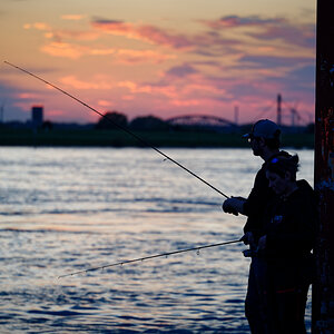 Z62_1860_DxO-3.jpg