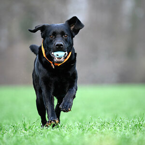 DSC_1592-2.jpg