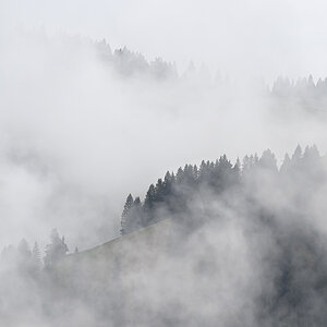 Nebel.jpg