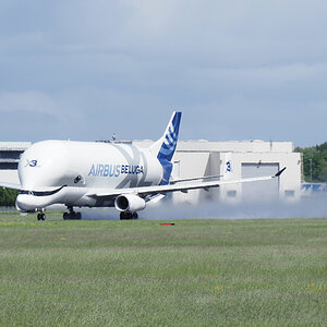 Beluga Start 2.jpg
