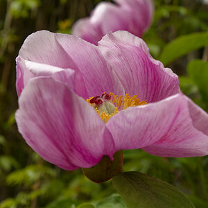NIKON_2023_01307NF.jpg