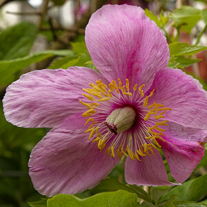 NIKON_2023_01308NF.jpg