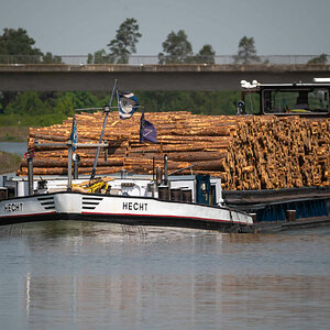 Hecht mit Holz.jpg