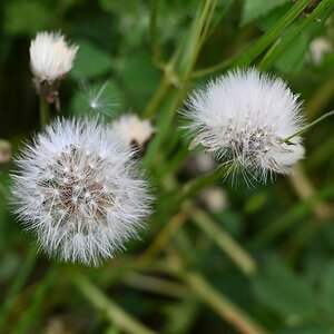 Z12-28_Test 1.jpg