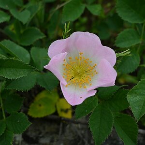 Z12-28_Test 2.jpg