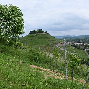 Z12-28_Test 10.jpg