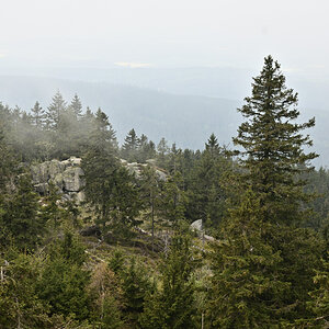 DSC_6317.JPG
