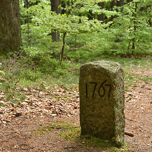DSC_6383.JPG
