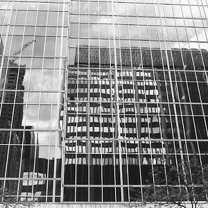 P1160485.jpg