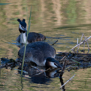 DSC_5038.jpg