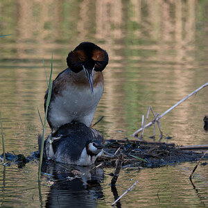 DSC_5121.jpg