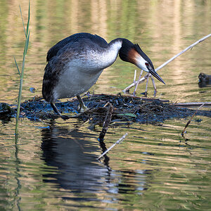 DSC_5164.jpg