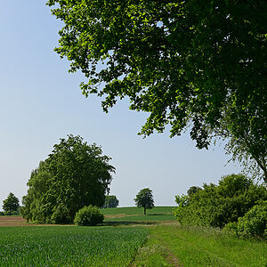811_8421t10l10s50p1.jpg
