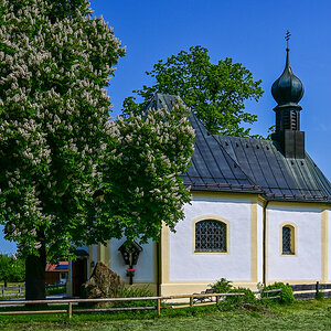 DSC_4764.jpg