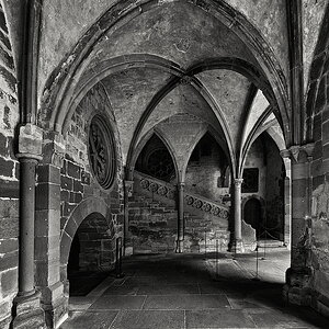 Maulbronn_2023_ZSD_4851_sw_nff.JPG