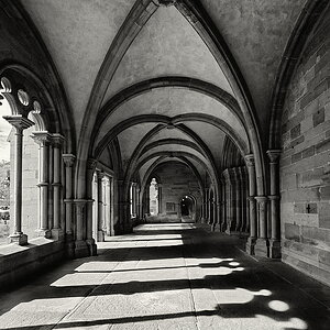Maulbronn_2023_ZSD_4964_sw_nff.JPG