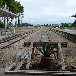 Roscoff_1.JPG