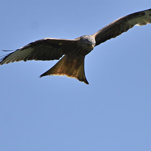 DSC_7053.JPG