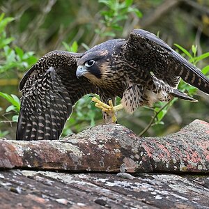 2023_022394.jpg
