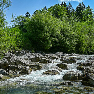 DSC_4819.jpg