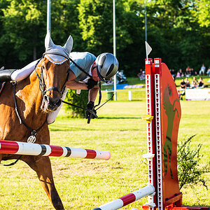Reitturnier Pfingsten Forst-2712.jpg