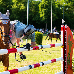 Reitturnier Pfingsten Forst-2734.jpg