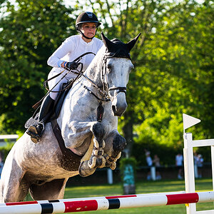 Reitturnier Pfingsten Forst-2778.jpg