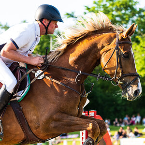 Reitturnier Pfingsten Forst-2804.jpg