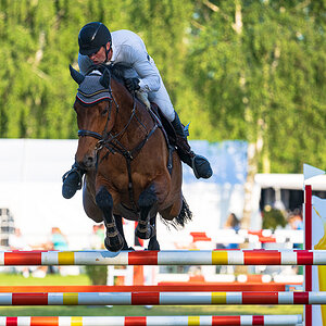 Reitturnier Pfingsten Forst-3066.jpg