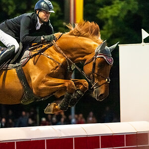 Reitturnier Pfingsten Forst-3108.jpg