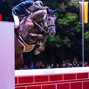 Reitturnier Pfingsten Forst-3144.jpg