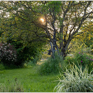 118 Wunderschöner Garten im Elsass