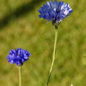 NIKON_2023_01331NF.jpg