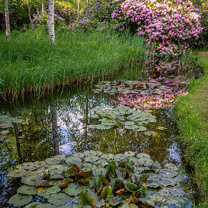 _Z621597-DeNoiseAI-clear.jpg