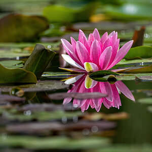 _D5C2479-DeNoiseAI-clear.jpg