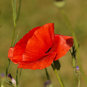 NIKON_2023_01396NF.jpg
