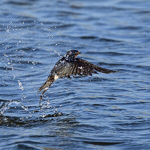 NZ9_9685_Rauchi spritzt gewaltig_Kating_IA_5_2023.jpg