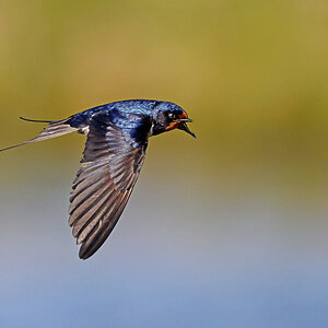 NZ9_9594_Rauchi_Kating_IA_5_2023.jpg