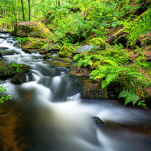 _D716073-DeNoiseAI-clear.jpg
