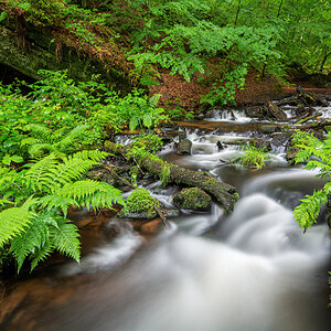 _D716053-DeNoiseAI-clear.jpg