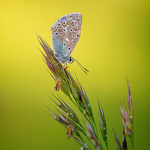 _D716029-DeNoiseAI-clear.jpg