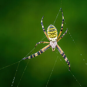_D716728-DeNoiseAI-clear.jpg