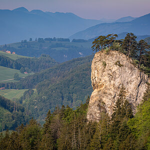 _D715944-DeNoiseAI-clear.jpg