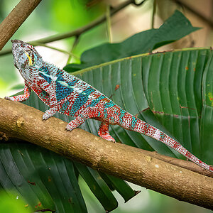 _D716349-DeNoiseAI-clear.jpg
